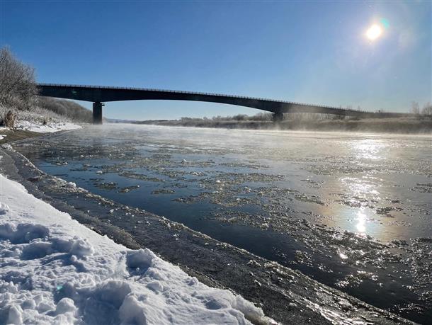 晴れて日は太陽の光が反射して綺麗な結晶