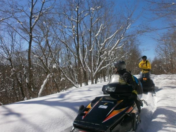 十勝晴れの下、パウダースノーを疾走！