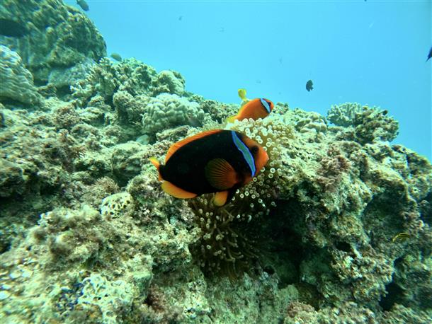 丁寧にサポートいたします！