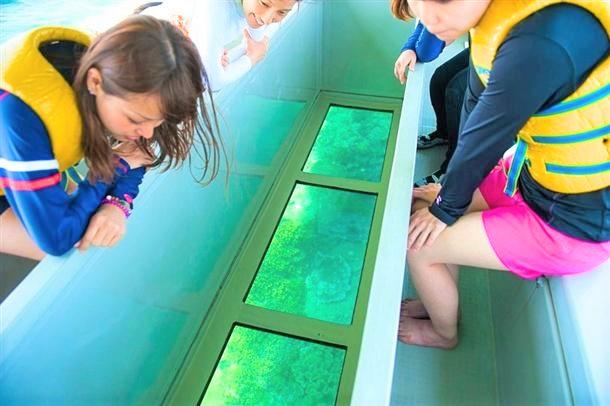 船底が透明なガラス張りの専用ボート