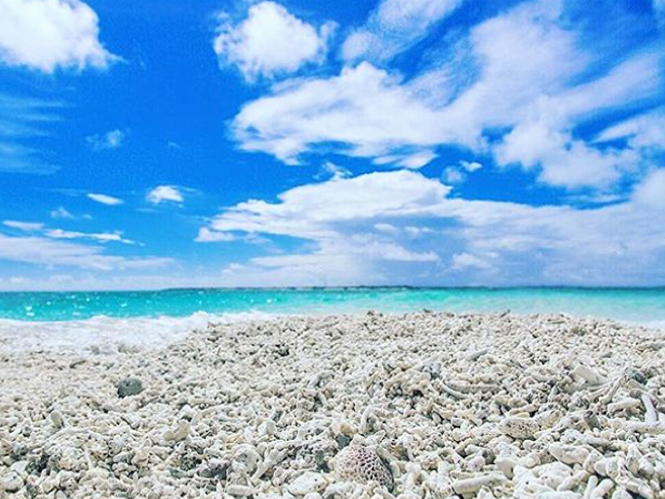 サンゴでできた幻の島「南バラス島」