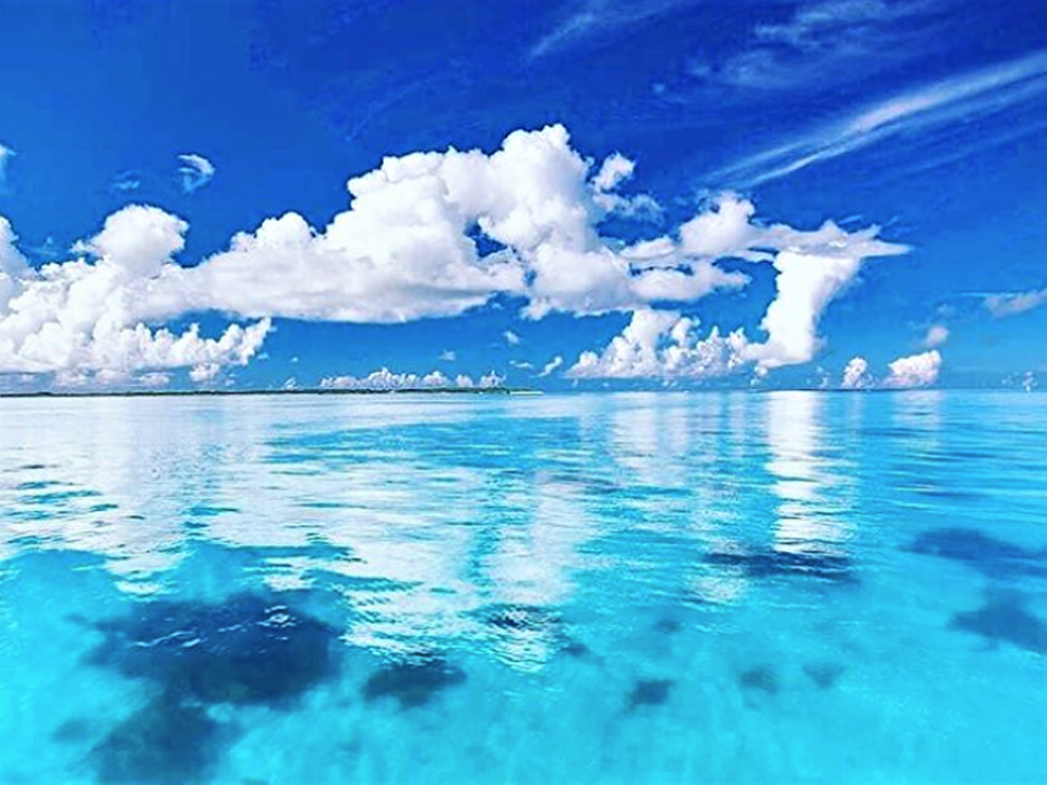 砂地が美しい「黒島ブルー」も！