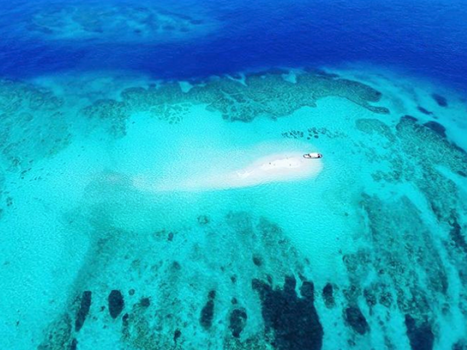 風が弱ければドローン撮影も♪