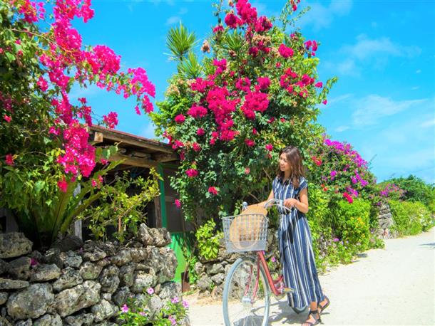 歩いてゆっくりまわるのもおすすめ★