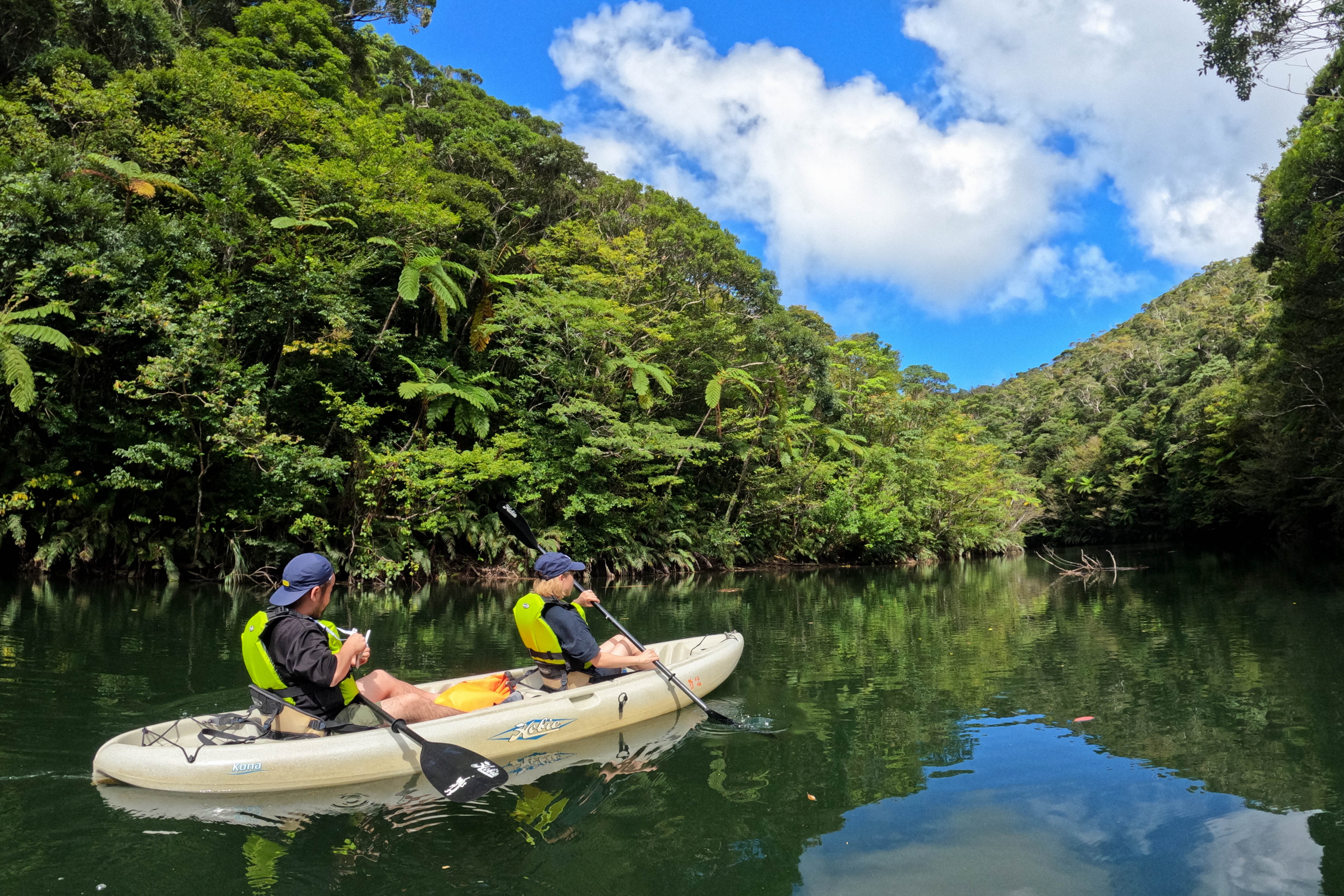 シダ植物の広がる湖面をクルーズ