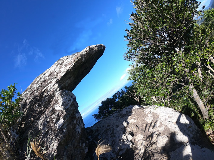 15分で山頂へ！写真映え抜群ですよ♪