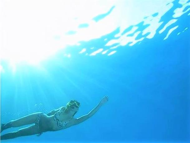 豊かな海を存分に満喫