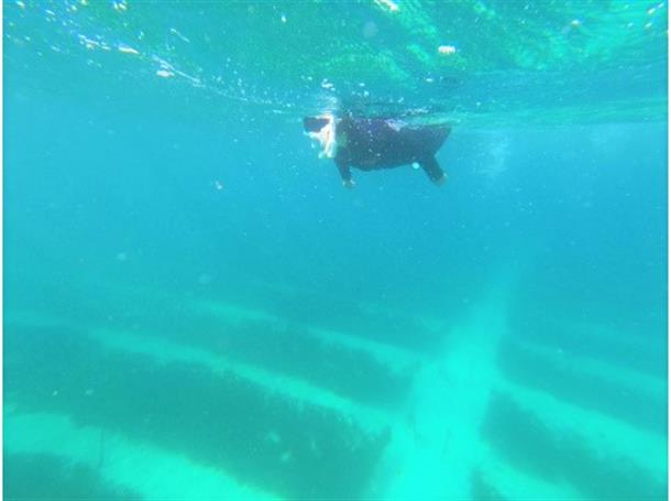 ディープな久米島をご案内♪