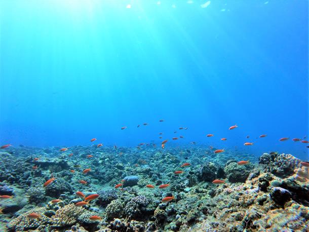 久米島の豊かな海も体感♪