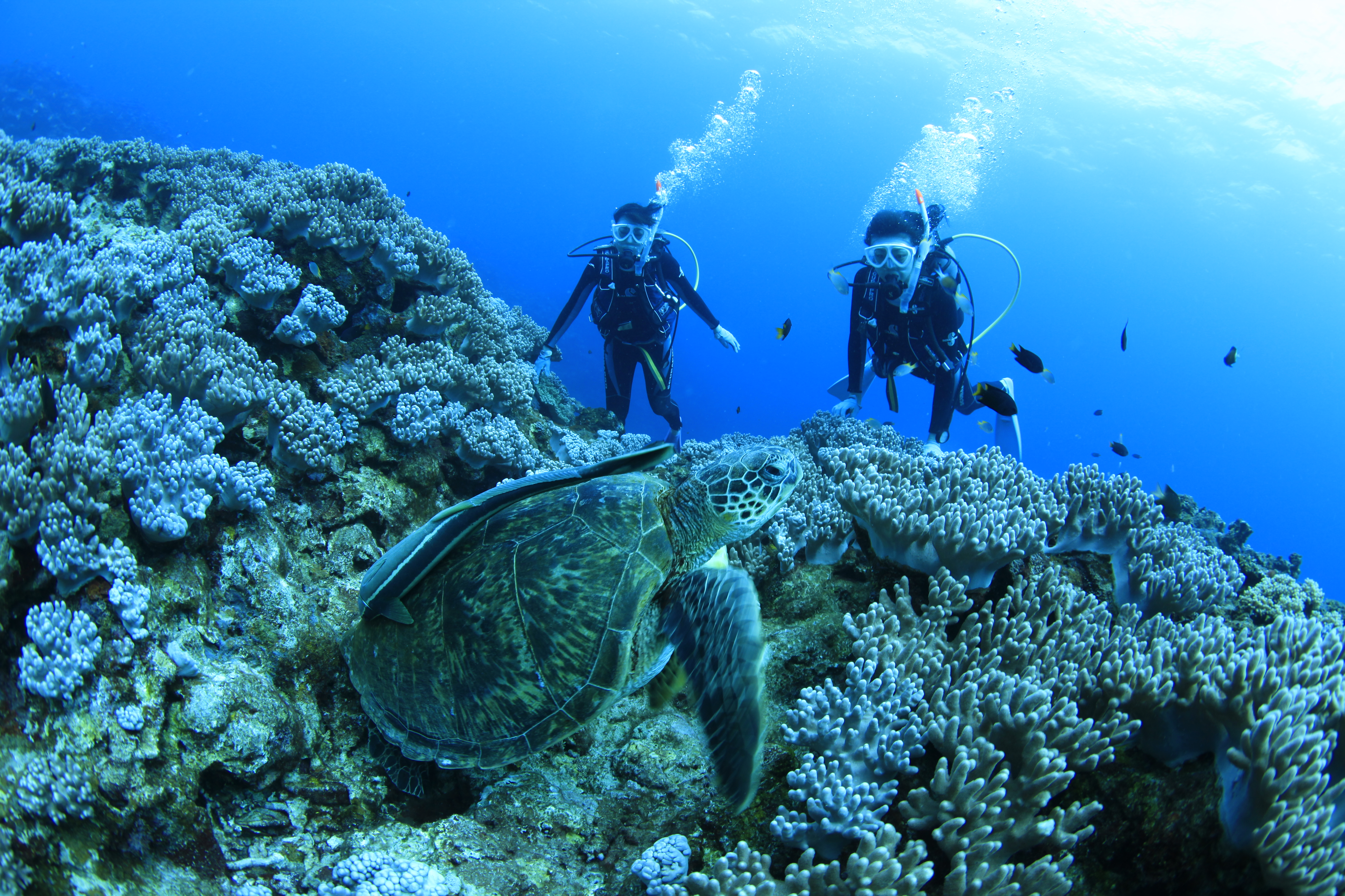 海の生き物に会えるかも。。♪