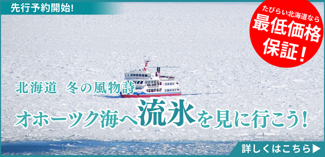 流氷先行予約_PCバナー_大