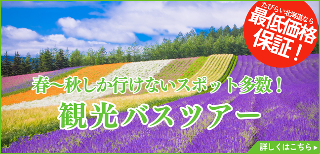 観光バス_PCバナー_大