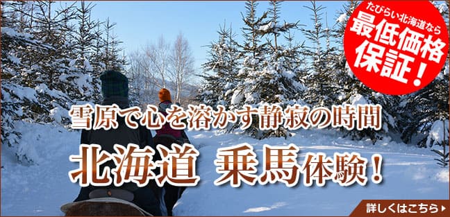 乗馬(冬)_PCバナー_大