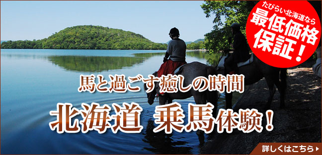 乗馬_PCバナー_大