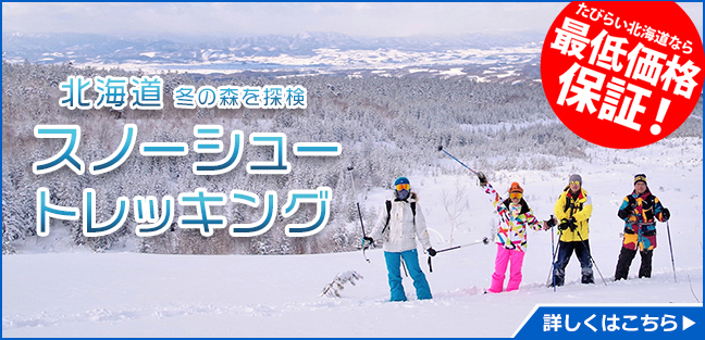 スノーシュー_PCバナー_大