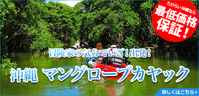 マングローブカヤック_PCバナー_大