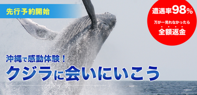 ホエールウオッチング_PCバナー_大