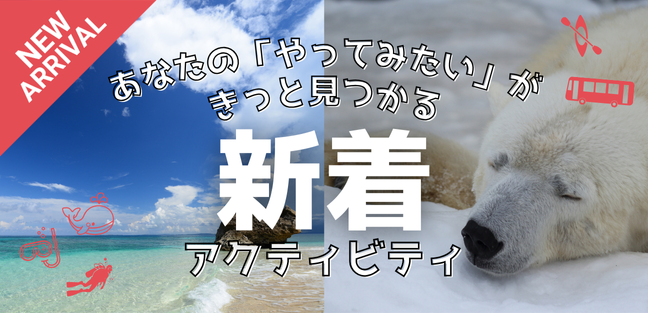 新着プラン_PCバナー_大