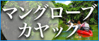マングローブカヤック_PCバナー_大