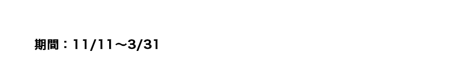 :11/11`3/31