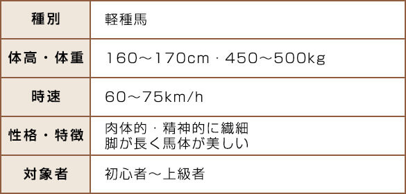 サラブレッドの特徴