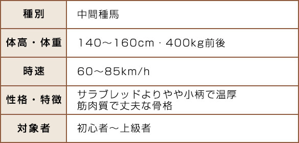 クォーターホースの特徴