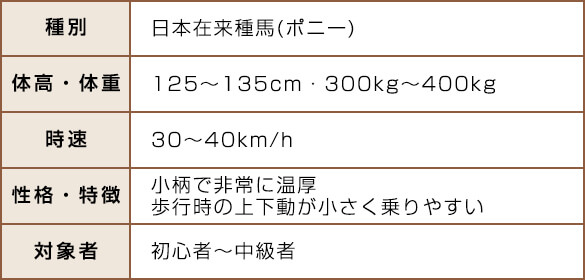 道産子(どさんこ)の特徴
