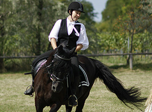 ブリティッシュスタイル