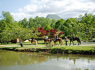 札幌市内で乗馬体験