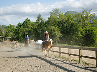 馬場内で乗馬体験