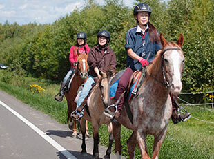美瑛町をホーストレッキング