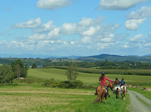 広大な自然を満喫