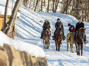 冬の山道で乗馬