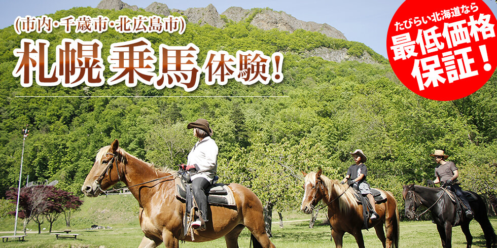 (市内・千歳市・北広島市) 札幌 乗馬体験！