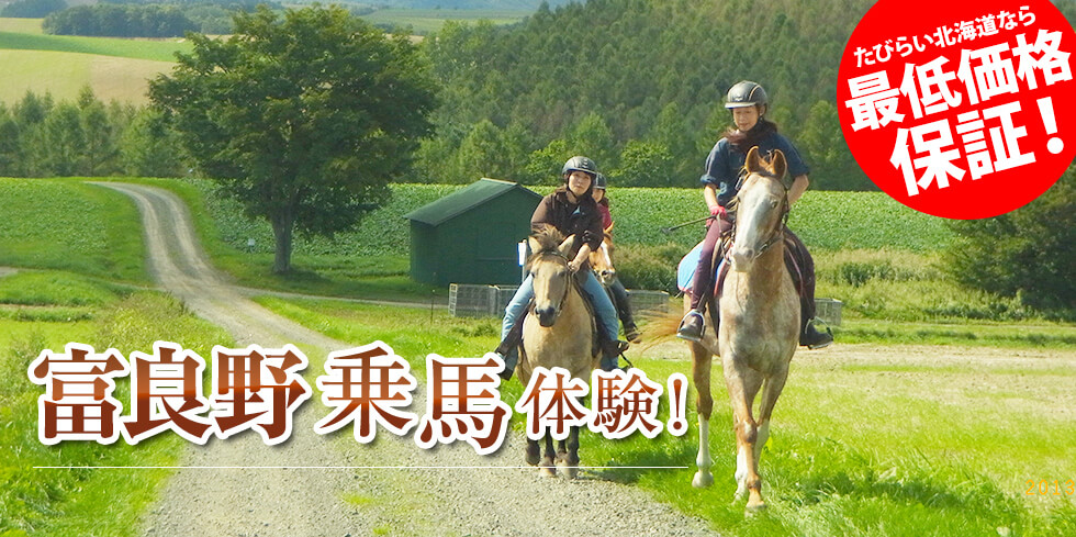 ニセコ 乗馬体験！