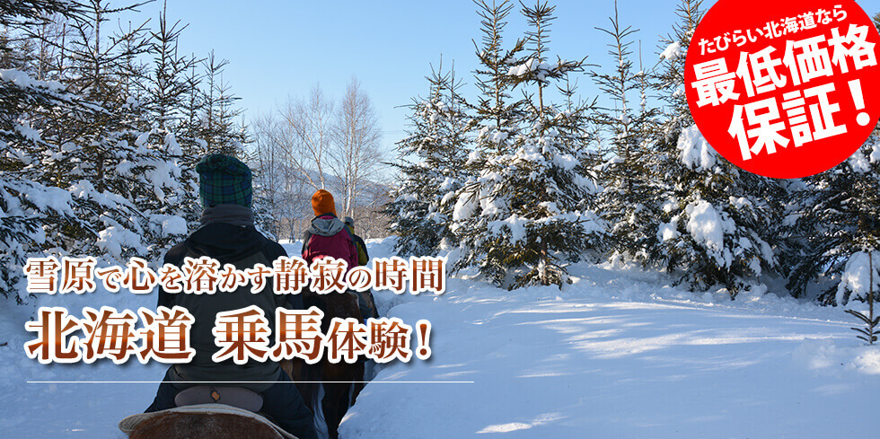 雪原で心を溶かす静寂の時間 北海道 乗馬体験！