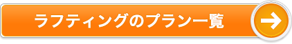ラフティングのプラン一覧