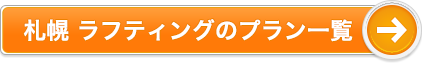札幌 ラフティングのプラン一覧
