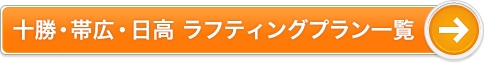 十勝・帯広・日高 カヌーのプラン一覧