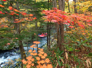 紅葉を見ながらラフティング