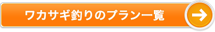 ワカサギ釣りのプラン一覧