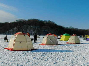 釣れたワカサギの様子