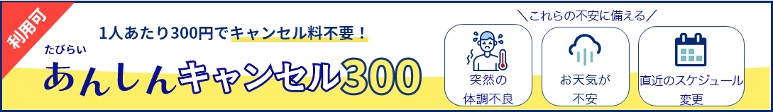 あんしんキャンセル300