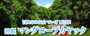 マングローブカヤック