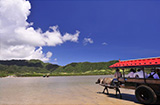 離島ツアー (石垣島発)