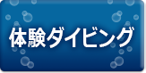 体験ダイビング