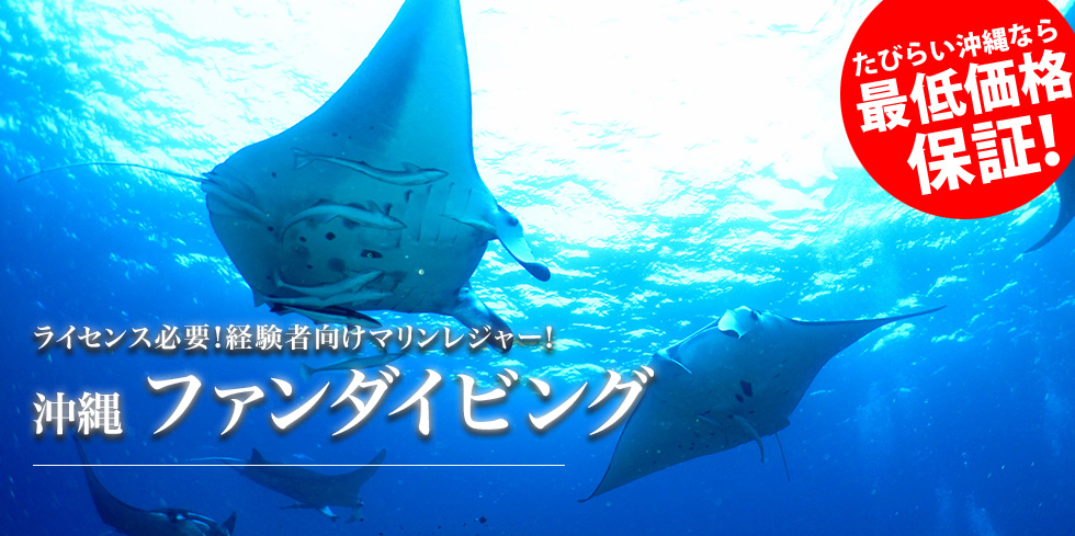 ライセンス必要！経験者向けマリンレジャー！ 沖縄 ファンダイビング