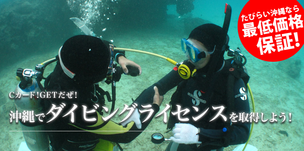 Cカード！GETだぜ！ 沖縄でダイビングライセンスを取得しよう！