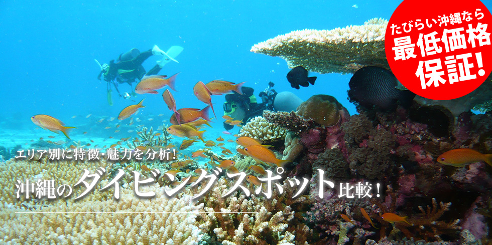 エリア別に特徴・魅力を分析！沖縄のダイビングスポット比較！