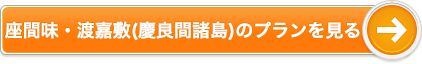 座間味・渡嘉敷(慶良間諸島)のプランを見る